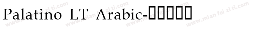 Palatino LT Arabic字体转换